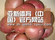 产品展示标题1