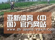 种植基地七(图1)