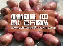 产品展示标题5