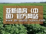 种植基地五(图1)