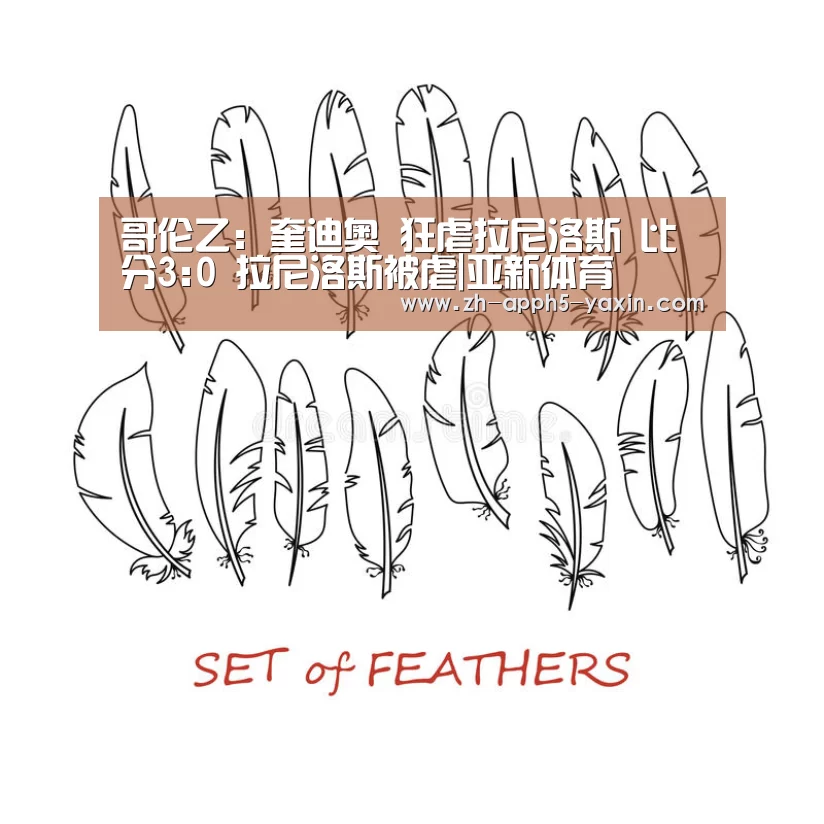 亚新网站