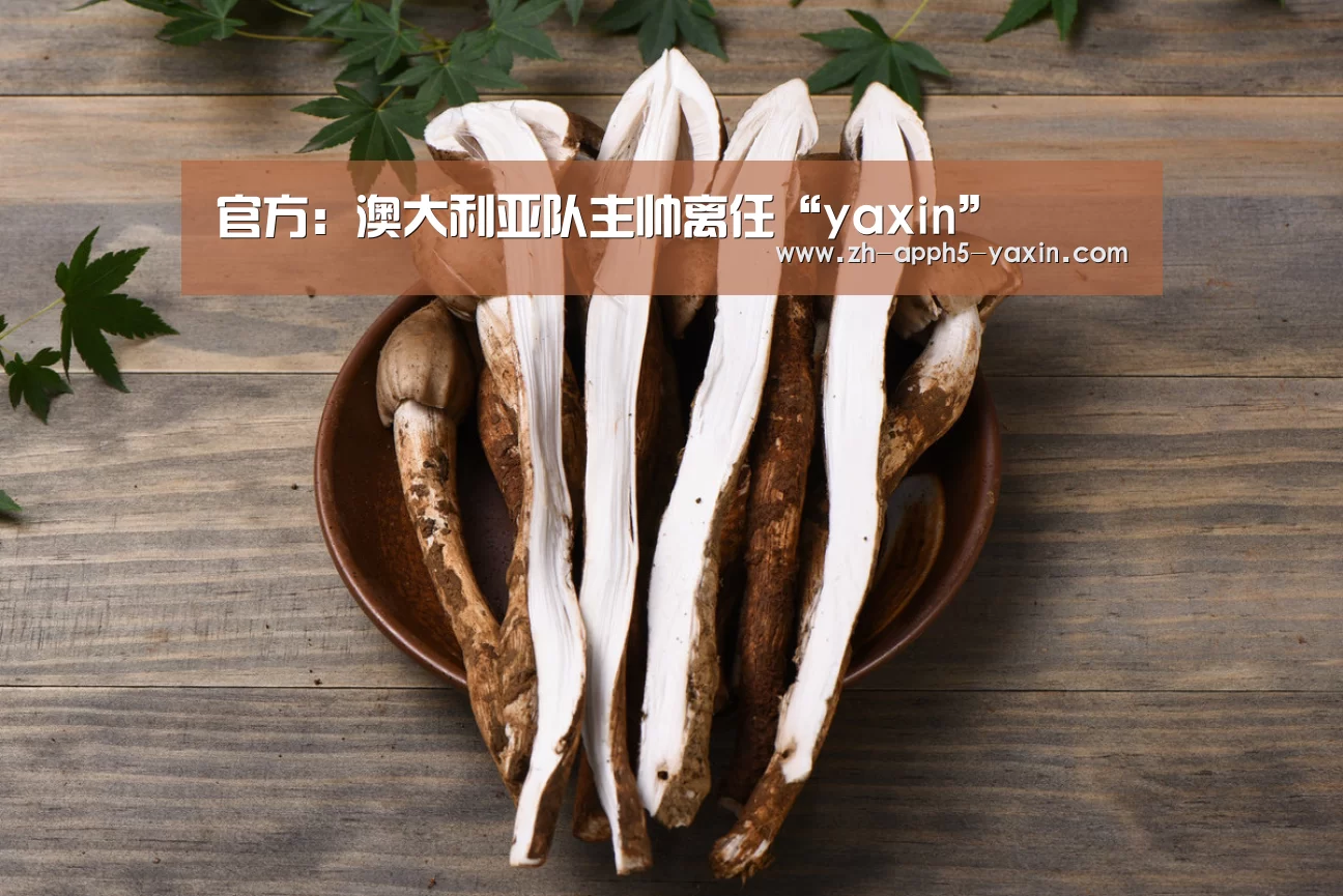 官方：澳大利亚队主帅离任“yaxin”(图1)