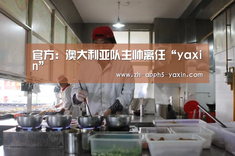 亚新网站