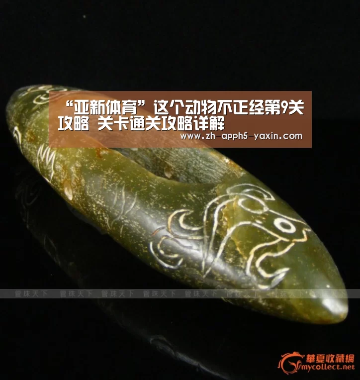 “亚新体育”这个动物不正经第9关攻略 关卡通关攻略详解(图3) 亚新app
