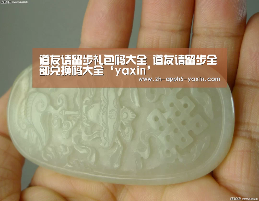 道友请留步礼包码大全 道友请留步全部兑换码大全‘yaxin’(图1) 亚新app