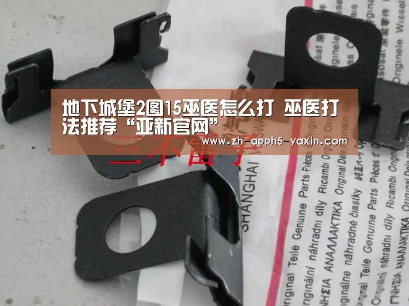地下城堡2图15巫医怎么打 巫医打法推荐“亚新官网”(图3) 亚新网站