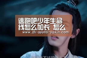 亚新app
