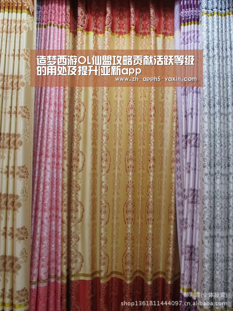 亚新网站